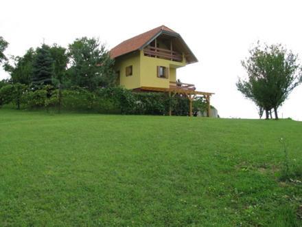 Holiday House Panorama Podcetrtek Exterior photo